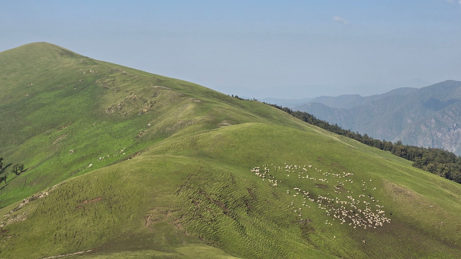Pindari Glacier Trek snow-capped peaks