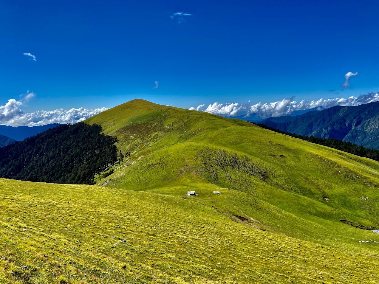 Ali Bedni Bugyal Trek meadows in Uttarakhand